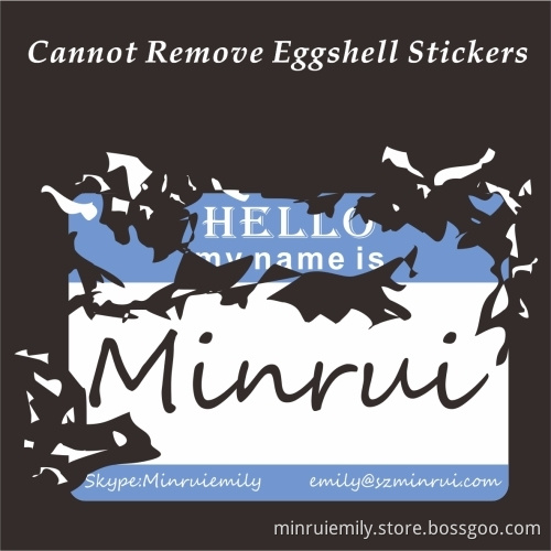 Custom My Name Is Blank Eggshell Sticker,cannot Remove Fragile Destructive Name Stickers,pronoun Eggshell Name Sticker
